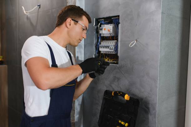 Best Electric Panel Repair  in Wood River, NE